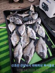 2시간전 [사천] 삼천포 산분령 유료낚시터 10/14 조황입니다 :-)