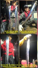 대양호 선상낚시 조황 사진