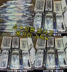 (풍산)내만갈치~어마어마~퍼담고~대박~(오늘,예약가능합니다) 사진