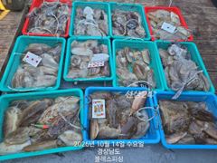 10월14일 갑오징어 조황! 목금 갑오징어 출항확정! 자리많아요~^^ 사진