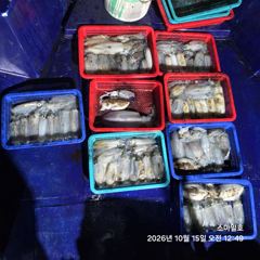(내만 팁런)무늬~초~대박 장원 31수 총 125수 스마일호(오늘 예약) 사진