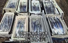 [진해] 내만갈치,대박행진,엄청나게 나옵니다.오늘출항(목,금~예약가능)