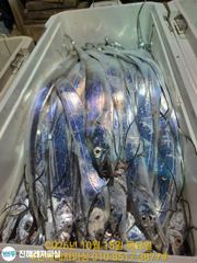 내만칼치ㅡ마트용 싸이즈로 손맛좋고 쿨러가득(오늘예약가능