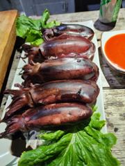 [거제] (무늬오징어)20수는 거뜬 선상 회파티 시즌절정 대동낚시(오늘 … 사진