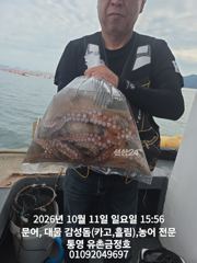 통영 금정호 내일 문어선상 정상출항합니다 자리여유있습니다