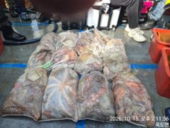 13일, 군산 왕문어 ~묵직한 손맛, 싸이즈 좋은 왕문어~망탱이 굿조황~군산낚시프라자 임마누엘호