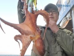 <뉴오리온호> 문어 종일 마무리 조황(15일)-황제낚시 하고 입항했습니다. 사진