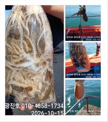 [사천] 왕쭈 장원137수 {선비,할인} 19,20,21,쭉~자리여유 예…
