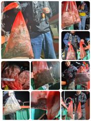 [포항] 돌문어 10/15. 실시간 뉴대양호
