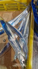 통영오아시스호 대갈치 희소식! 낼(금 예약가능