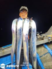 [부성피싱]왕칼치 초.전.박.살 3지4지급 대치 폭풍입질 올해역대급...초대박조황 전원만쿨