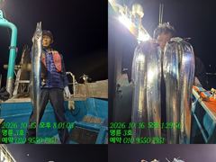 [통영] (14석통영명륜3호)우와~왕갈치 쿨러만땅 씨알 마릿수~굿굿 끝내…