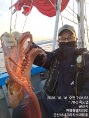 16일, 군산 왕문어 ~싸이즈 좋은 왕문어~오늘도 나오고 있어요~실시간~군산낚시프라자 스마트호