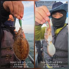 16일, 군산 쭈,갑~오전에 잘 나오고 있어요~ 실시간~~내일도 갑니다~군산낚시프라자 포세이돈 2호 사진