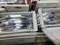 (왕갈치)주렁주렁 大치들 줄타고 먼바다 외줄 동양호(오늘 예약)