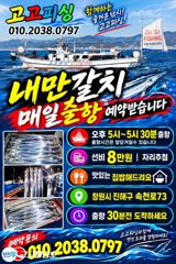 [진해] 내만갈치 씨알좀보이소!!! 짱멋지다~오늘예약가능