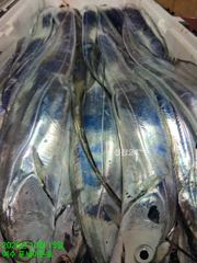 깔끔한 초대박 투런홈런 조황