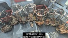 [통영] (王문어)어장+섬치기 K오버 뽑고 또 뽑고~현서피싱(17일예약)