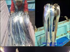 [통영] 통영백가피싱)저녁 10;30분 쿨러만땅/씨알좋고 얼른 또 출동해…