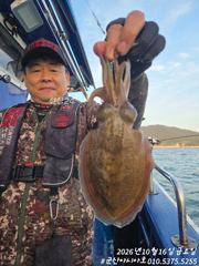 [군산아시아호] 갑오징어 대박 실시간 10/16 사진