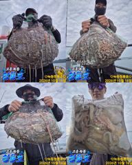 <고흥녹동>청룡호 16일 돌문어 대박!조황!!
