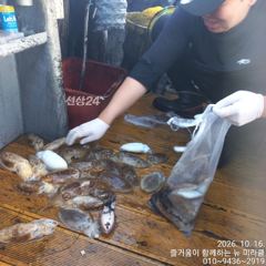 16일 뉴미라클 쭈,갑 10인 망땡이 조황