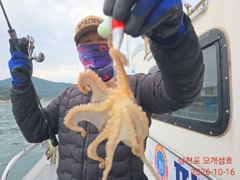 [사천] 오늘도 왕대구빡 쭈꾸미 찾아 열심히 달렸습니다.월요일부터 쭈우욱… 사진