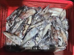 3지급 내만 갈치 대박 손맛 느나느나 조황 내일 자리여유많음 사진