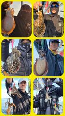 [쭈꾸미조황] [무창포 플러스호] 10월 16일 쭈꾸미 100마리 이상, 갑오징어 65마리 정프로님의 꾸준한 실력~ / 예약문의 010-3304-7556