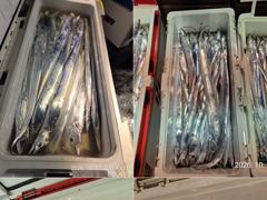 3시간전 [군산] 10/16. 군산. 대한낚시. 갑오징어. 마무리. 조황