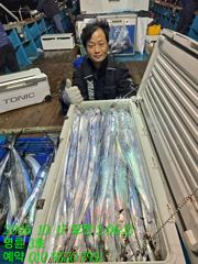 (14석통영명륜3호)와우~대갈치들 완전대박 쿨러만땅 고생하셨습니다 오늘도 달립니다(오늘한분예약가능 010.9550.7951)