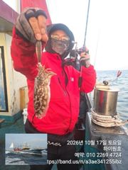 17일, 군산은 갑오징어 폭주~~오늘도 굿굿~실시간 조황~군산낚시프라자 하이원호