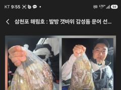 [사천] (((해림3호)))16일 씨알 마리수 조항입니다 사진