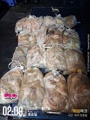 ◆ 2kg 오버 등장! 장원 12마리 ◆ 군산 뉴세븐호 10월 16일 야간문어 조황 사진
