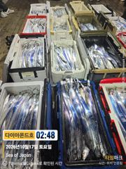 [진해] 내만갈치 3,4지 만쿨대박히트! 긴급3자리! 전화주세요~
