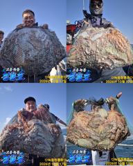 <고흥녹동>청룡호 돌문어 대박조황!!!!