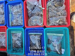 [진해] 윤피싱 쭈꾸미 갑오징어 17일 토요일 조황~!