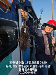 [통영] 통영 금정호 문어선상 중박조황! 내일 자리있습니다