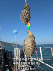 군산 대호피싱 17일 대박치고 마무리 했습니다 사진