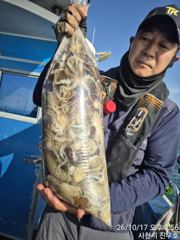 17일 열한분 아침부터 쭈꾸미 완죤 바글바글 한피딩 받고 160수 전,후로 잡았습니다, 쭈꾸미 천지네요! 콜 주세요 ~^^ 사진