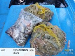 [사천] 삼천포 문어낚시 금일 조황!! 다음주 예약 가능 사진