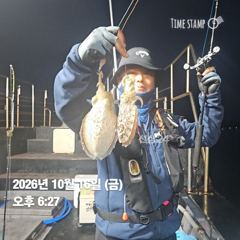 2026년10월16일(12물) 까치선장 자이언트호 쭈/갑 굿 조황 사진