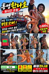 통영한나호 어장낚시 돌문어 10월17일 실시간입니다 사진