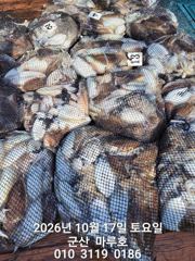 》 10/17 군산 마루호 갑오징어 조항 《 사진