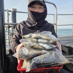 인천 [마린스타 1호 & 3호] 10월 17일(토) [쭈꾸미 갑오징어] 조황!!!
