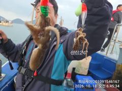 쭈! 돌문어! 풍성합니다~오이소!