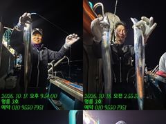 (14석통영명륜3호)우와~왕갈치 3지이상 쿨러만땅 밤새도록 입질 폭발 왕창잡았습니다(계속예약가능) 사진
