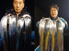 [통영] (통영명륜호7호)은빛갈치 큰놈 작은놈^다 잡았습니다 쿨러조황 … 사진