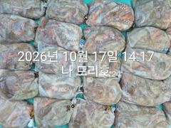 17일, 군산 왕문어 난리 부르스~초대박 굿굿조황~싸이즈 끝내줍니다~매일출조~군산낚시프라자 나드리호 사진