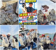 [목포] 목화피싱 10/17일 쭈꾸미 장원 80~100수 굵은 쭈꾸미 조… 사진
